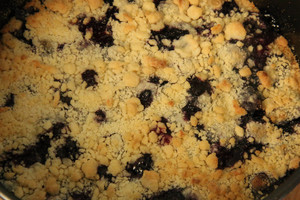 蓝莓酥粒小方块Blueberry Crumber Bars