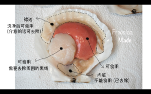 【视频】蒜蓉粉丝蒸扇贝