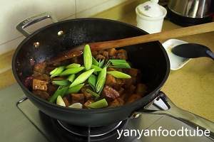 五花肉烧素鸡 Pork Belly with Dry Tofu